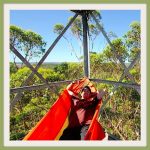 gloucester-tree_pemberton