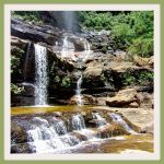wentworth-falls_blue-mountains